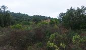 Trail Walking Roquebrune-sur-Argens - ROQUEBRUNE-Le pas de l' Eouvé- MBO - Photo 10