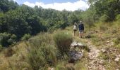 Excursión Senderismo Cipières - Cipières du 04/07/24 - Photo 3