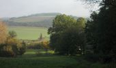 Tour Zu Fuß Dornburg-Camburg - Rundweg Camburg-Stöbnitz - Photo 7