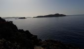 Tocht Stappen Hyères - Presqu'île de Giens Est-26-02-21 - Photo 3