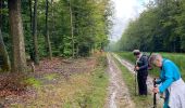 Tocht Stappen Saint-Hubert - Awenne - Photo 14