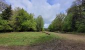 Tour Wandern Libin - rando redu  11-05-2023 - Photo 7