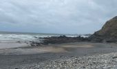 Trail Walking Crozon - Tours Plage de Goulien  pointe de Dinan - Photo 7