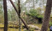 Trail Walking Noisy-sur-École - Boucle les trois pignons Fontainebleau - Photo 1