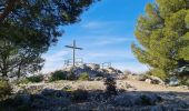 Randonnée Marche Toulon - le Faron sud - Photo 10