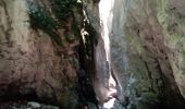 Tour Wandern Plan-de-Baix - Le Canyon des Gueulards - Photo 15
