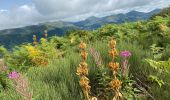 Tocht Stappen Mandailles-Saint-Julien - Mandailles Elanceze Col de Pertus - Photo 10