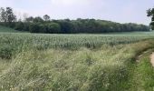 Trail On foot Unknown - Große Heidetour - Photo 2