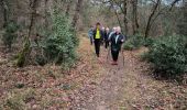 Tour Wandern Fontainebleau - Franchard 9fevrier 2024 - Photo 2