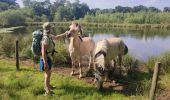Trail Walking Hoogstraten - Wortel-Kolonie  - Photo 1