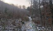 Randonnée Marche Liège - autour du jardin et de l institut botanique - Photo 11