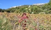 Tocht Stappen Buis-les-Baronnies - Milmandre  Ubrieux Buis  - Photo 1