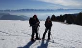 Tour Schneeschuhwandern Autrans-Méaudre en Vercors - La Quoi 2022 - Photo 2