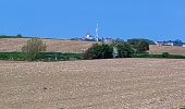 Trail Walking Ault - Ault parle bois de Cise - Photo 5