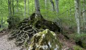 Trail Walking Montefortino - Gole dell’ infernaccio - Photo 4