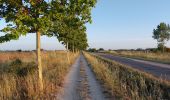 Tour Wandern Bercianos del Real Camino - 2023 18 mansilla - Photo 5