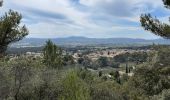 Randonnée Marche Mérindol - PF-Mérindol - Carrières - Durance - Garrigue - CP - Photo 5