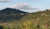 Tour Zu Fuß Villa Minozzo - Fonti di Poiano - Sologno - Cerre' S. - Montecagno - Monteorsaro - Peschiera Zamboni - Photo 3