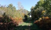 Trail Walking Volvic - VOLVIC Impluvium - Photo 1