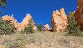 Excursión Senderismo Unknown - 2024 Bryce Canyon Queen's Trail - Photo 18