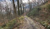 Trail Walking Compiègne - Compiegne rond point de l’Armistice 13,4 km - Photo 11