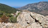 Tour Zu Fuß Ajaccio - Sentier des Crêtes Ajaccio et Grotte Napoléon - Photo 6