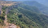 Excursión Senderismo Saint-Étienne-de-Gourgas - Cirque du Bout du Monde(15K 690D+) - Photo 5