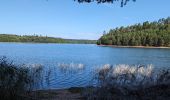 Tour Wandern Badenweiler - 2023-07-22 Marche Bivouac Lac de la pierre percee - Photo 4