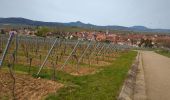 Tocht Stappen Mittelwihr - Mittelwihr - Nécropole de Sigolsheim - Riquewihr - Hunawihr - Zellenberg - Photo 19