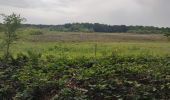 Trail Walking Hoogstraten - Wortel-Kolonie  - Photo 12