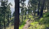 Tour Wandern Tejeda - Cuevas del Caballero (Gran Canaria) - Photo 16