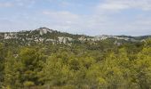 Excursión Senderismo Les Baux-de-Provence - autour des baux - Photo 2