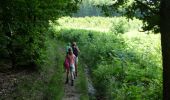 Trail On foot Wellin - activity_1250776146 - Photo 3