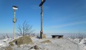 Tour Zu Fuß okres Vranov nad Topľou - Telekia - Photo 6