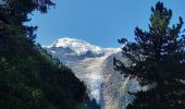 Tour Wandern Chamonix-Mont-Blanc - Chalet des Pyramides 1895m 11.7.22 - Photo 17