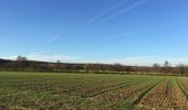 Tour Zu Fuß Roßdorf - Rundwanderweg Dieburg Am Messeler Weg 3: Tannenkopf-Weg - Photo 1