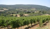 Tour Zu Fuß San Gimignano - Giro Gimignano - Photo 9