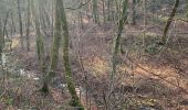 Randonnée Marche Virton - Cimetière militaire français de Laclaireau  - Photo 7