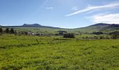 Excursión Senderismo Les Estables - Rocher Tourte - Photo 2