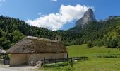 Tour Zu Fuß Saint-Martin-de-Clelles - Chemin du Goutaroux - Photo 6