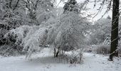 Percorso Marcia Esneux - Bois d’Esneux sous la neige - Photo 4