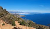 Trail Walking Saint-Raphaël - T-Cap Roux - Photo 2