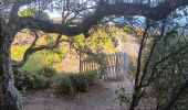 Trail Walking Banyuls-sur-Mer - cap del troc . coll de gran bau . cap réderis . retour par le chemin du littoral  - Photo 2