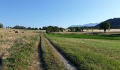 Excursión Bici de montaña Vif - barrage St Pierre de commiers - Photo 1