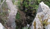 Tour Wandern Fillière - chalet de l'angletaz pour Umi - Photo 3