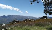 Randonnée Marche Campile - Boucle de Monte Castellare - Photo 8