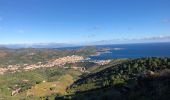 Trail Walking Banyuls-sur-Mer - 20201015 Banyuls dans le vent - Photo 3