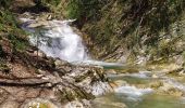 Trail Walking Saint-Vincent-de-Mercuze - Cascades de l'Alloix - Photo 8