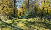 Trail Walking Lacroix-Saint-Ouen - en forêt de Compiègne_42_le Carnois et le Vivier Corax - Photo 7