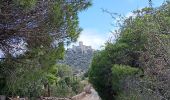 Trail Walking Port-Vendres - les batteries . collioure . fort sant elme . port vendres . cap gros - Photo 19